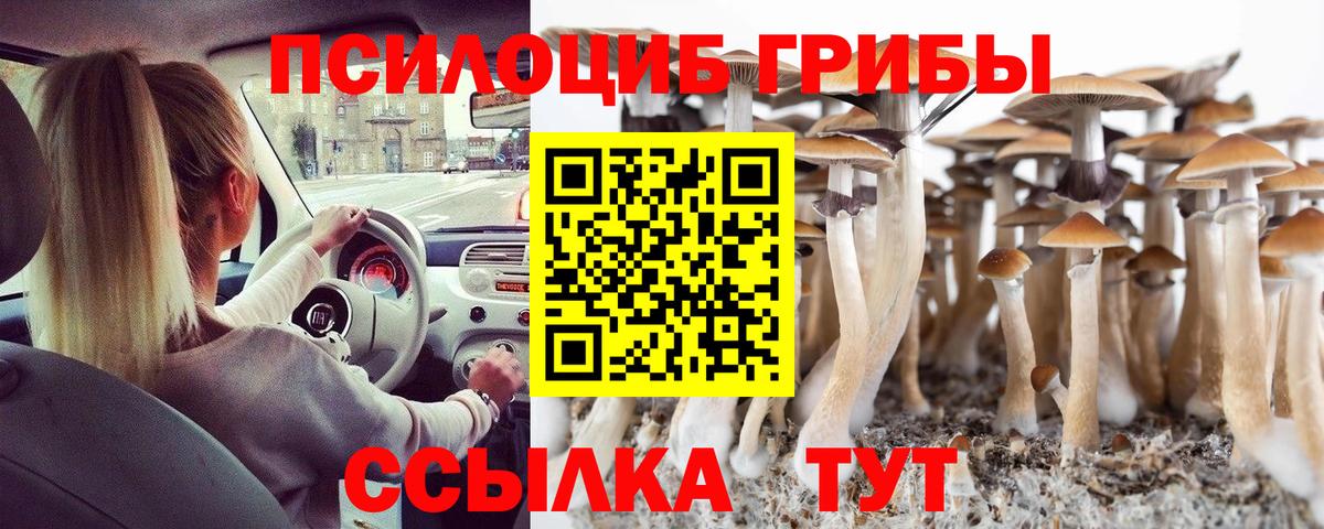 Ачинск  Псилоцибиновые грибы Psilocybine cubensis  Вход с VPN 